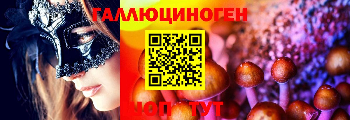 Псилоцибиновые грибы MAGIC MUSHROOMS Грозный